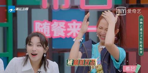 娱乐吃瓜姐创作的原声,原声背后的故事与幕后花絮